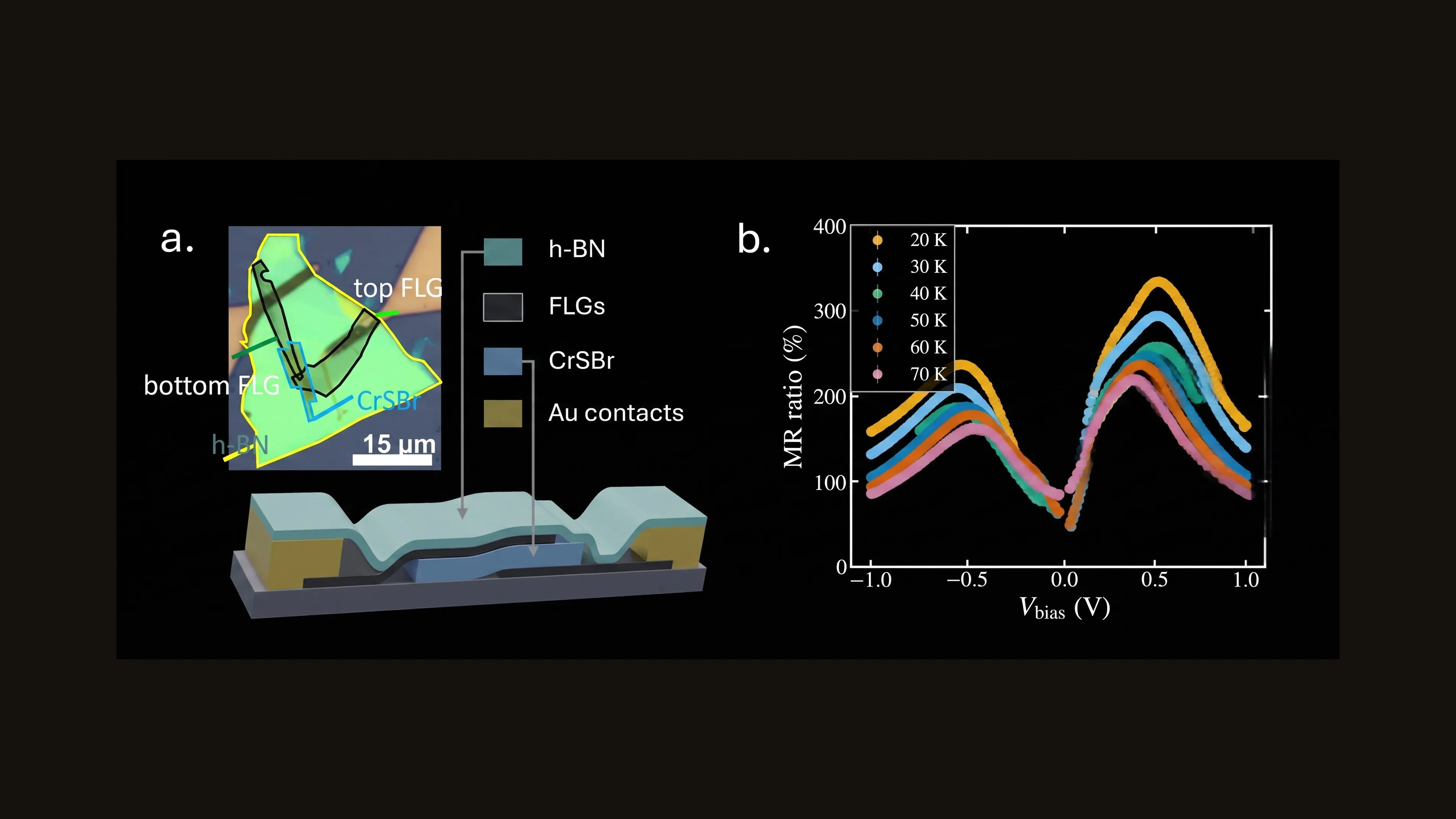 Two panels on a dark ground. Left: an optical micrograph of the junction with the h-BN, few-layer graphene and CrSBr flakes outlined in yellow, black and blue against a 15 micrometre scale bar, above a three-dimensional cutaway schematic of the same stack with gold contacts. Right: magnetoresistance ratio against bias voltage from minus 1 to plus 1 volt at six temperatures from 20 to 70 K, every curve M-shaped with maxima near plus and minus 0.5 volts.